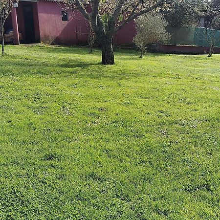 Alojamiento Entero Con Piscina Y Jardin. Ourense Luaran gambar